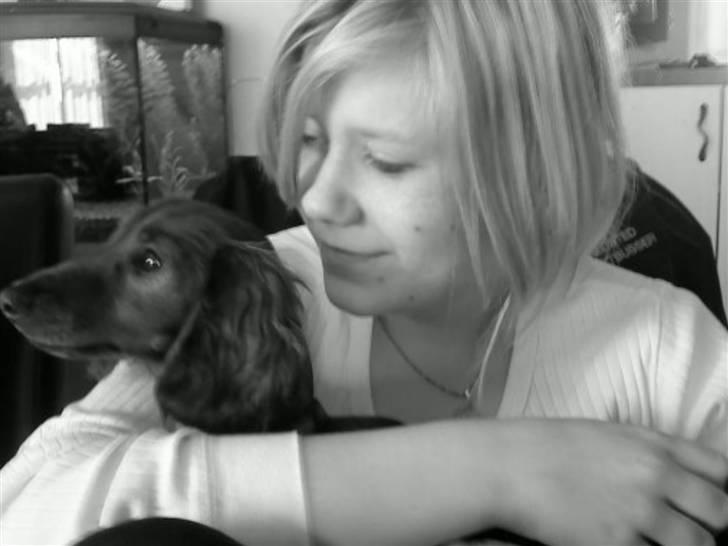 Gravhund Von-Fyrbo Casandra - Casey & Jeg <3 billede 29