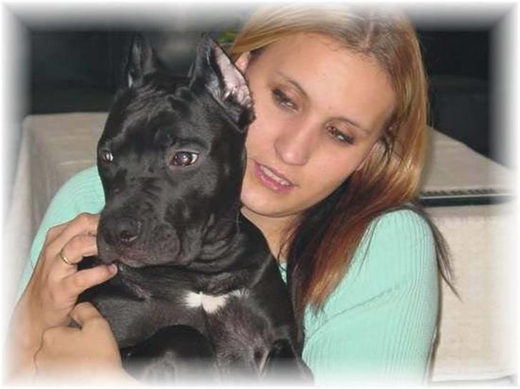 Blanding af racer Babe billede 11