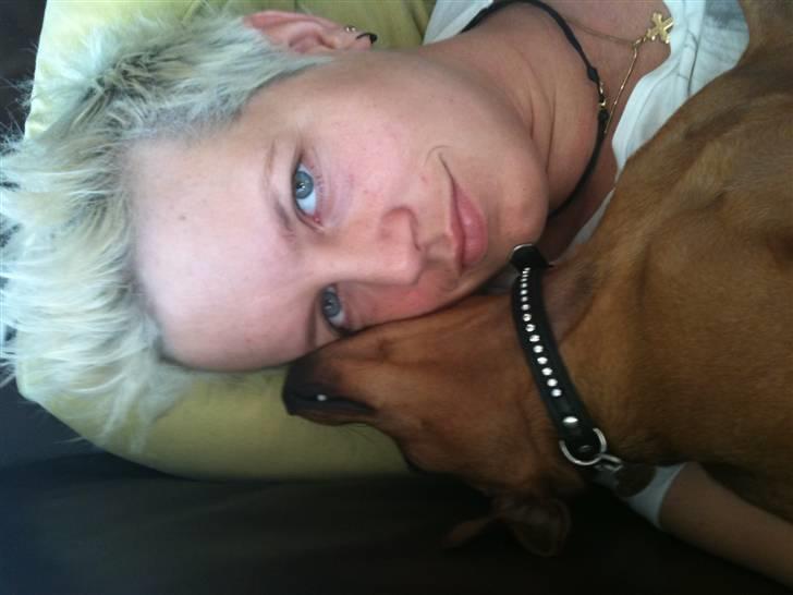 Blanding af racer king billede 8