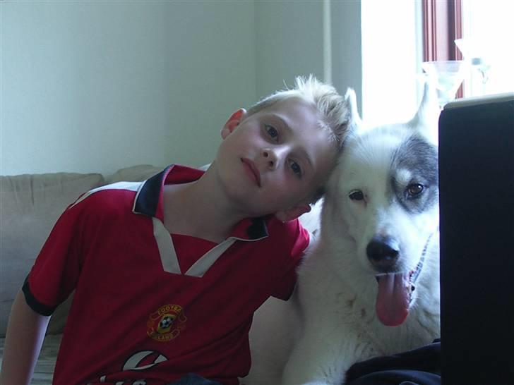 Grønlandshund Ronja - Hvor har vi savnet hinanden. Nu har vi jo ikke set hinanden en hel weekendt billede 18