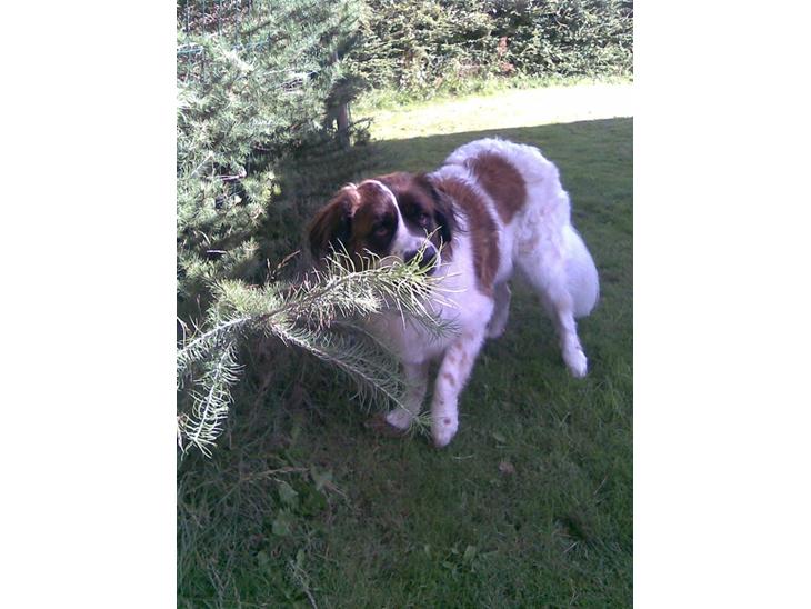 {{currentPhoto.altText}} billede {{currentPhoto.number}}