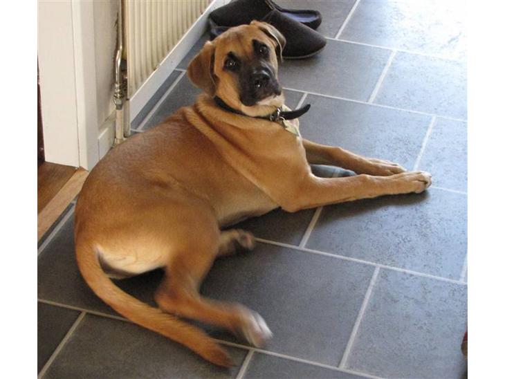 {{currentPhoto.altText}} billede {{currentPhoto.number}}