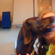 Blanding af racer Tiki