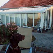 Blanding af racer Tiki