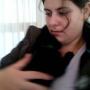 Blanding af racer Simba