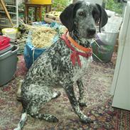 Blanding af racer Gaia R.I.P :'(