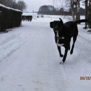 Blanding af racer Markus