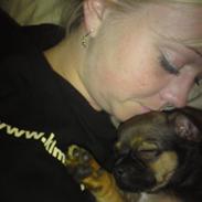 Blanding af racer Chili