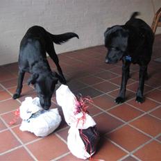 Blanding af racer Sally