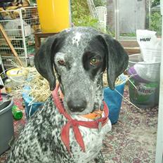 Blanding af racer Gaia R.I.P :'(