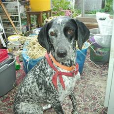 Blanding af racer Gaia R.I.P :'(