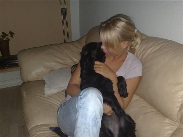 Cocker spaniel Tika <3 - Natja og tikka hygger billede 5