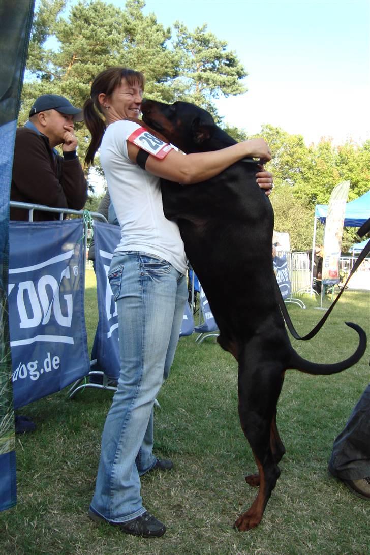 Dobermann Dobergaarden F. Athos - mys mys til min mor billede 15