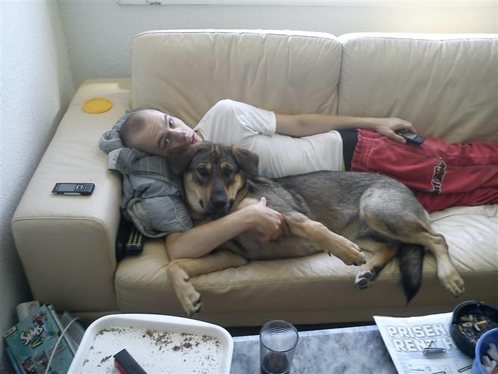 Blanding af racer Ziva - ziva iigen  hun putter billede 13