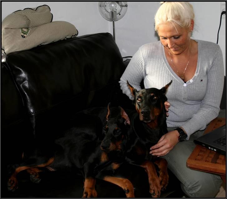 Dobermann Miss Medina Di Altobello billede 10