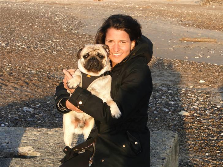 Mops Tyson - mig og mor ved stranden billede 6