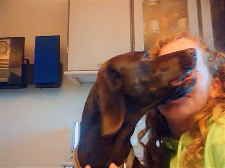 Blanding af racer Tiki billede 2