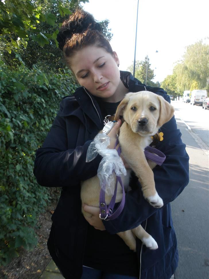 Blanding af racer Carla billede 3