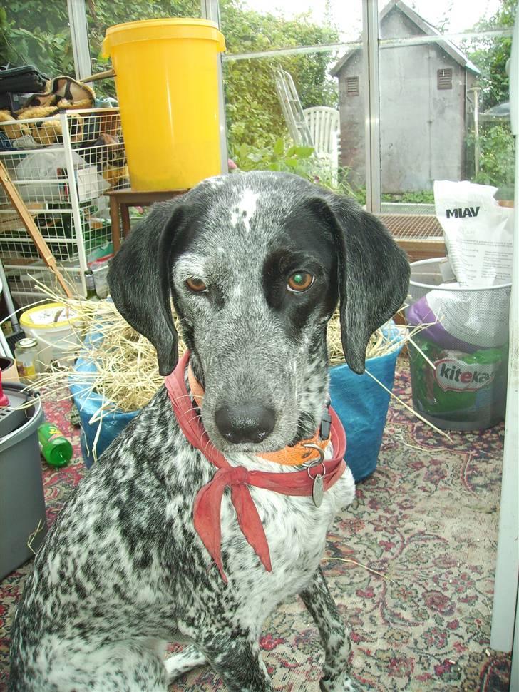 Blanding af racer Gaia R.I.P :'( billede 1