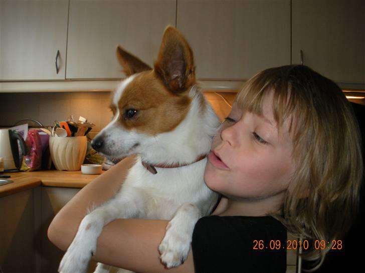 Blanding af racer Bailey - Bailey og Zenia billede 5