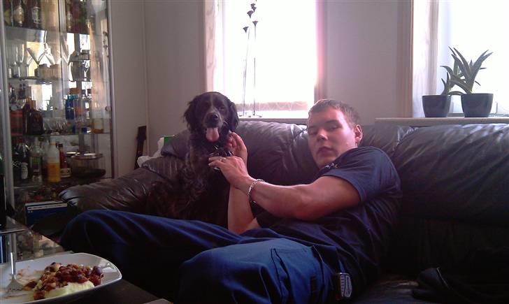 Breton Niko - Niko gir´ Ryan pote :D billede 2