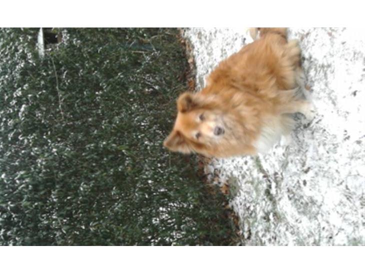 {{currentPhoto.altText}} billede {{currentPhoto.number}}