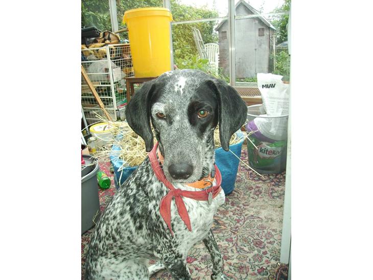 {{currentPhoto.altText}} billede {{currentPhoto.number}}