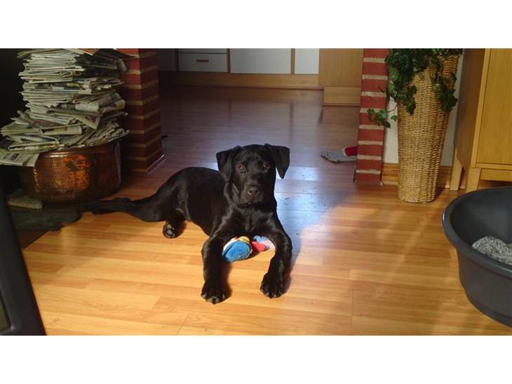 {{currentPhoto.altText}} billede {{currentPhoto.number}}