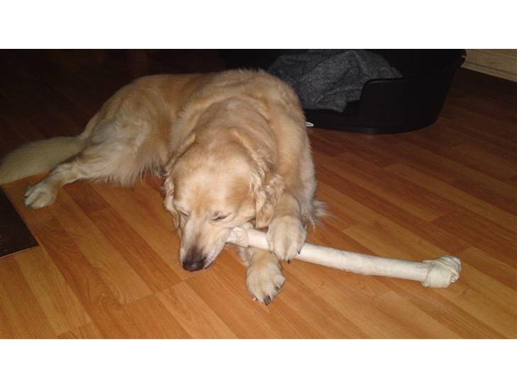 {{currentPhoto.altText}} billede {{currentPhoto.number}}