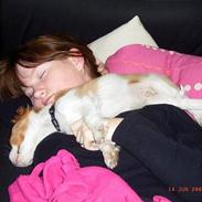 Blanding af racer Fimpe