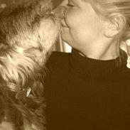 Tibetansk terrier Shanga