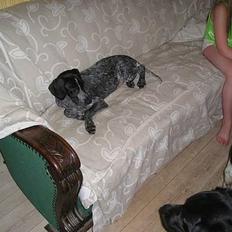 Blanding af racer Gaia