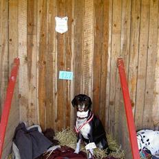 Blanding af racer R.I.P. Molly R.I.P.