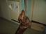 Labrador retriever Tilde