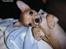 Chihuahua Samson