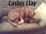 Blanding af racer Casius Clay# Død # - Clay: "give me five"