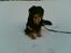 Blanding af racer Basse R.I.P