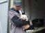 Labrador retriever Fie - Dagen hvor Fie blev valgt