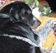 Blanding af racer noa <3*RIP*<3