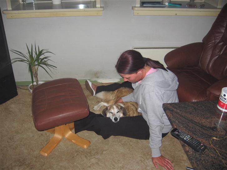 Blanding af racer Bobbi *død 27 April 07* - Aller sidste aften sammen med Bobbi.. kunne slet ikke få mig selv til at gå fra ham billede 4