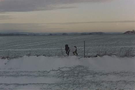 Shar pei Andrea - uuuhhhh der er koldt billede 13