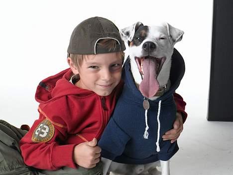 Jack russell terrier Carlos - skal jeg ligne en der griner? øh....ha ha ha ha, var det ok? billede 4