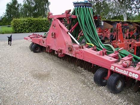 Labrador retriever Diesel (fars hund) - Det er hunden til venstre! billede 3