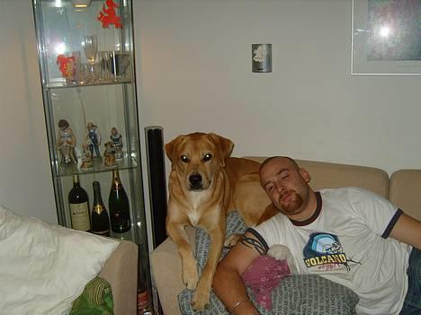 Blanding af racer Molly - mig og min far billede 2