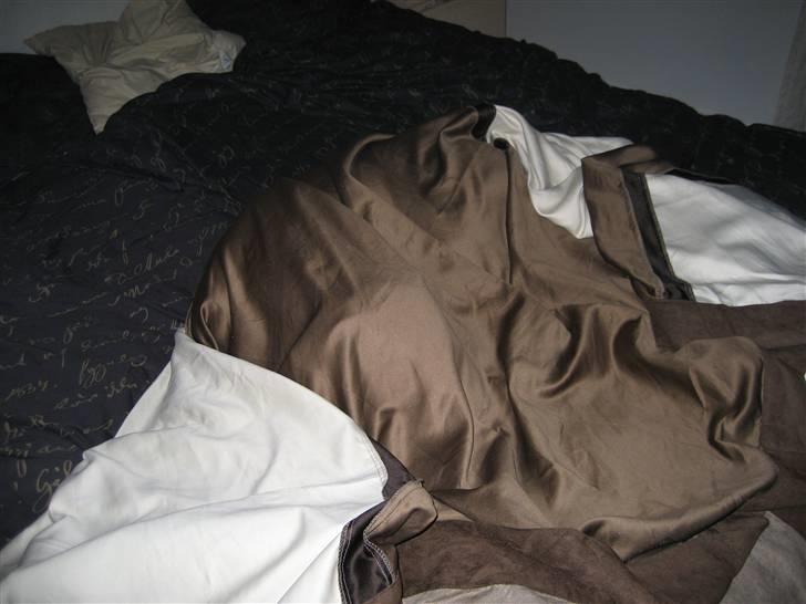 Amerikansk bulldog Terkel - Find hunden ?! billede 11