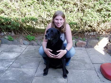 Labrador retriever Max *Aflivet* ;( - NYT! Mig og Max. billede 11