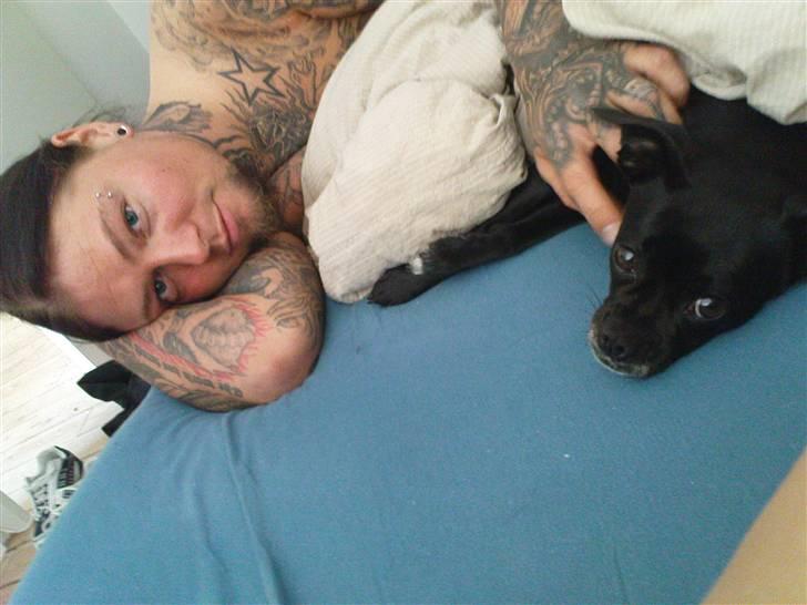 Blanding af racer Molly R.I.P billede 7