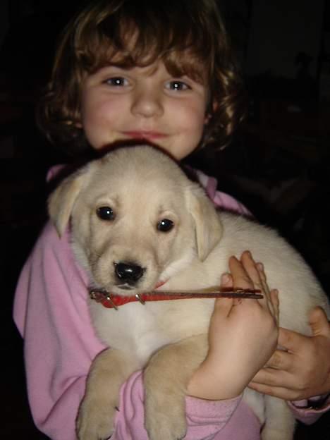 Blanding af racer Nala - pigen er fra der hvor vi har købt Nala billede 6