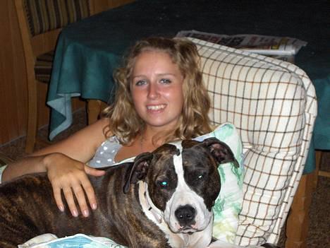 Amerikansk staffordshire terrier amiga 25-11-04 - ja da hun var lille var det ikke noget problem at komme op til mor, men nu vejer amiga altså 25 kg. billede 17