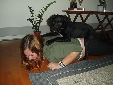 Blanding af racer Malthe (død) - Yeeha jeg vandt over min mor! billede 7